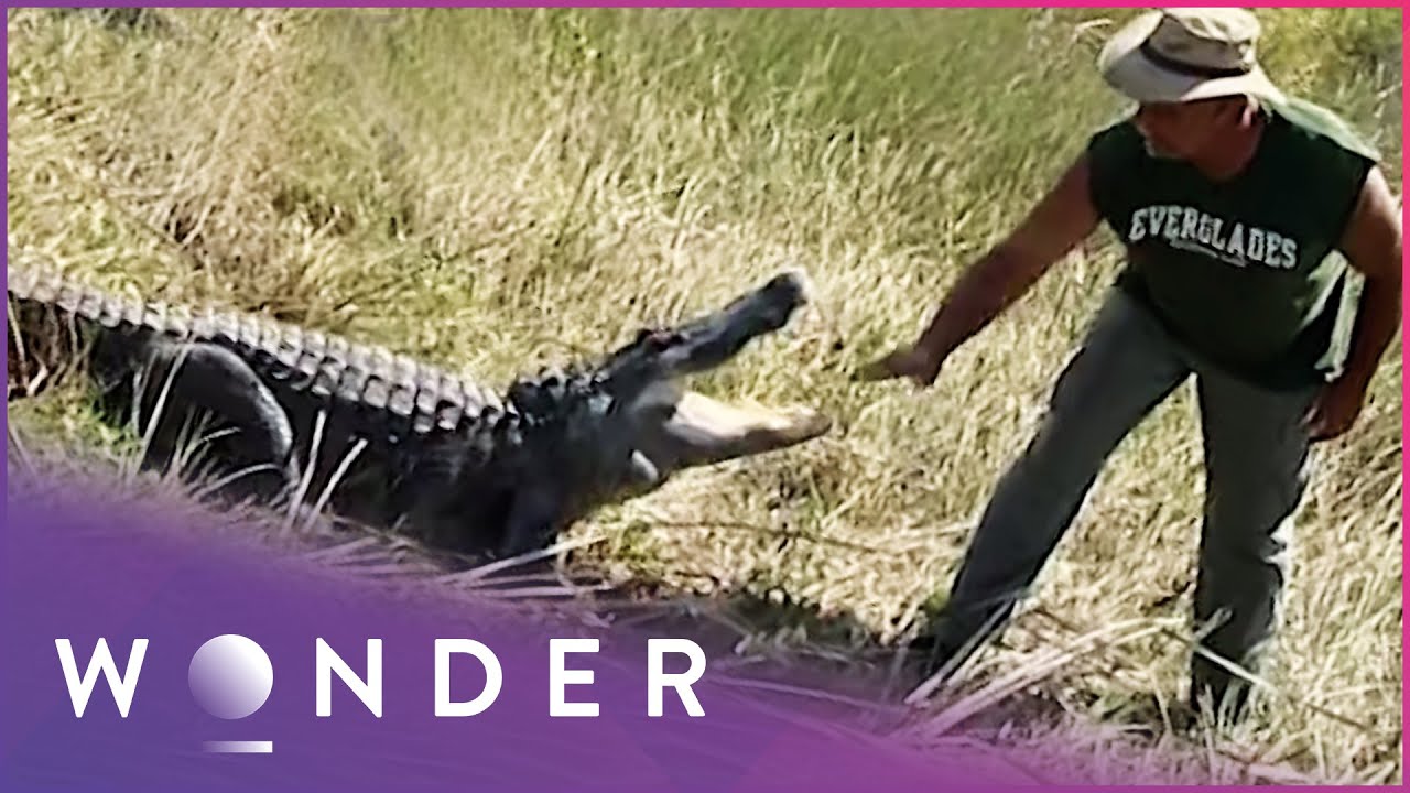This Man Fights Off Deadly Alligators In The Everglades | Unbreakable | Wonder