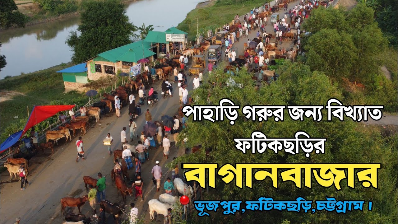 পাহাড়ি গরুর জন্য বিখ্যাত ফটিকছড়ির বাগানবাজার📍ভূজপুর,ফটিকছড়ি,চট্টগ্রাম। #বাগানবাজার  #baganbazar
