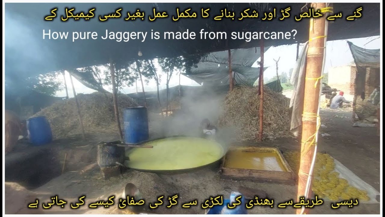 How pure Jaggery is made | How Gurr is made from Sugarcane | Gurr is better | Connect with Zafar