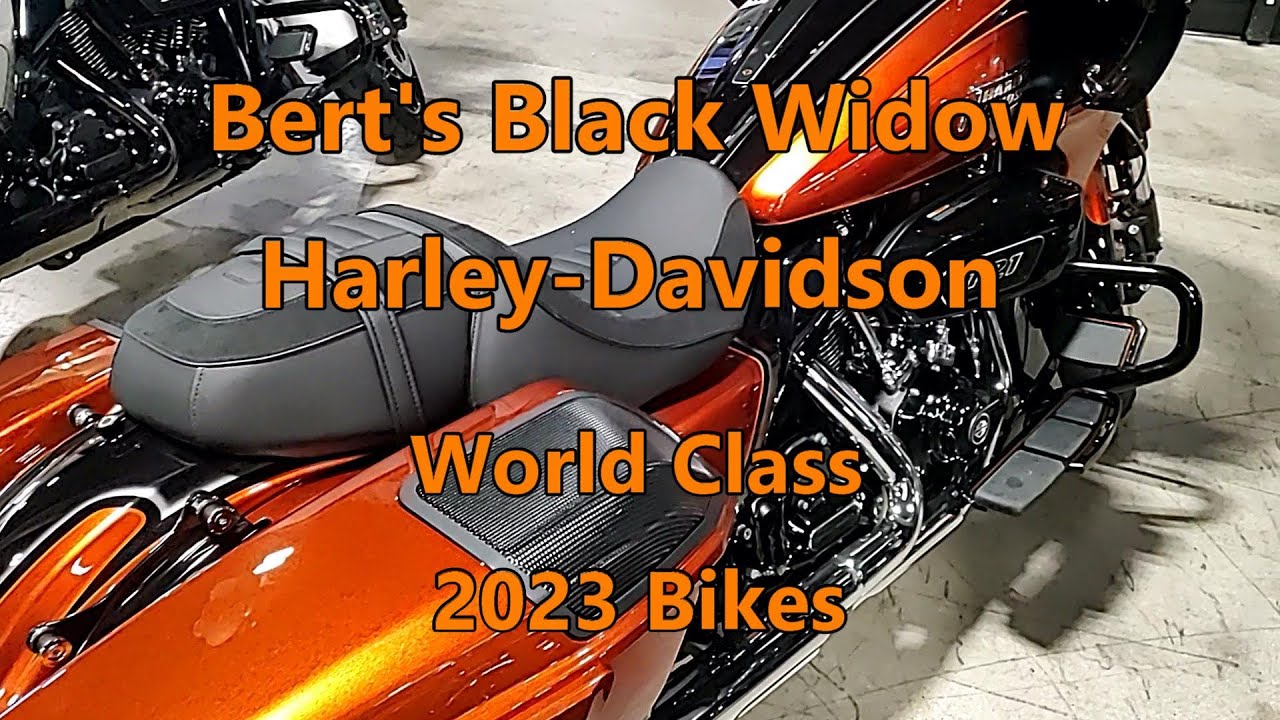Bert's Black Widow Harley Davidson Tour