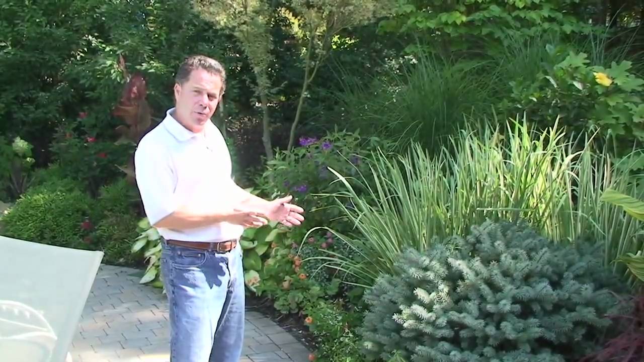 Deer Resistant Plants NJ | Winter Garden Plants - How To Select Winter Plants
