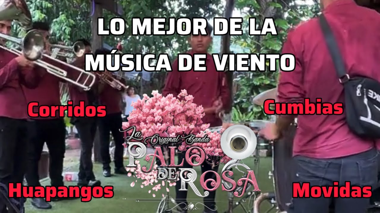 LO MEJOR DEL REPERTORIO Banda Palo de Rosa 2025 TINAJITA