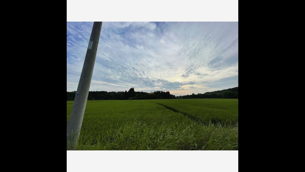 Chōshō Zenrin 12 - Fukanzazengi 02