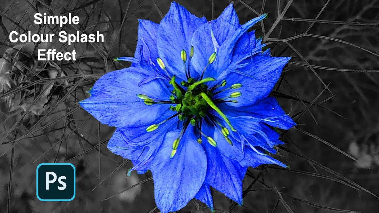 Как создать простой эффект цветового всплеска в Photoshop