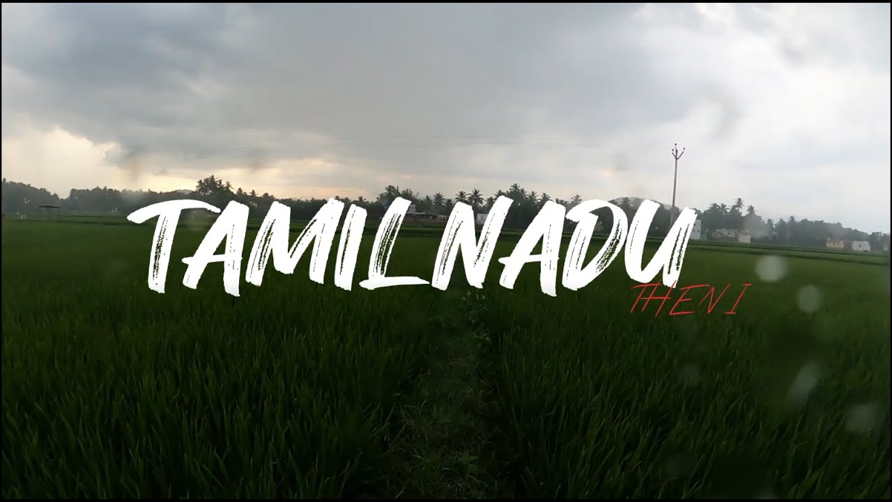 Walking in Heavy Rain at Tamil Nadu | Relaxing Monsoon rain sounds for sleep and meditation