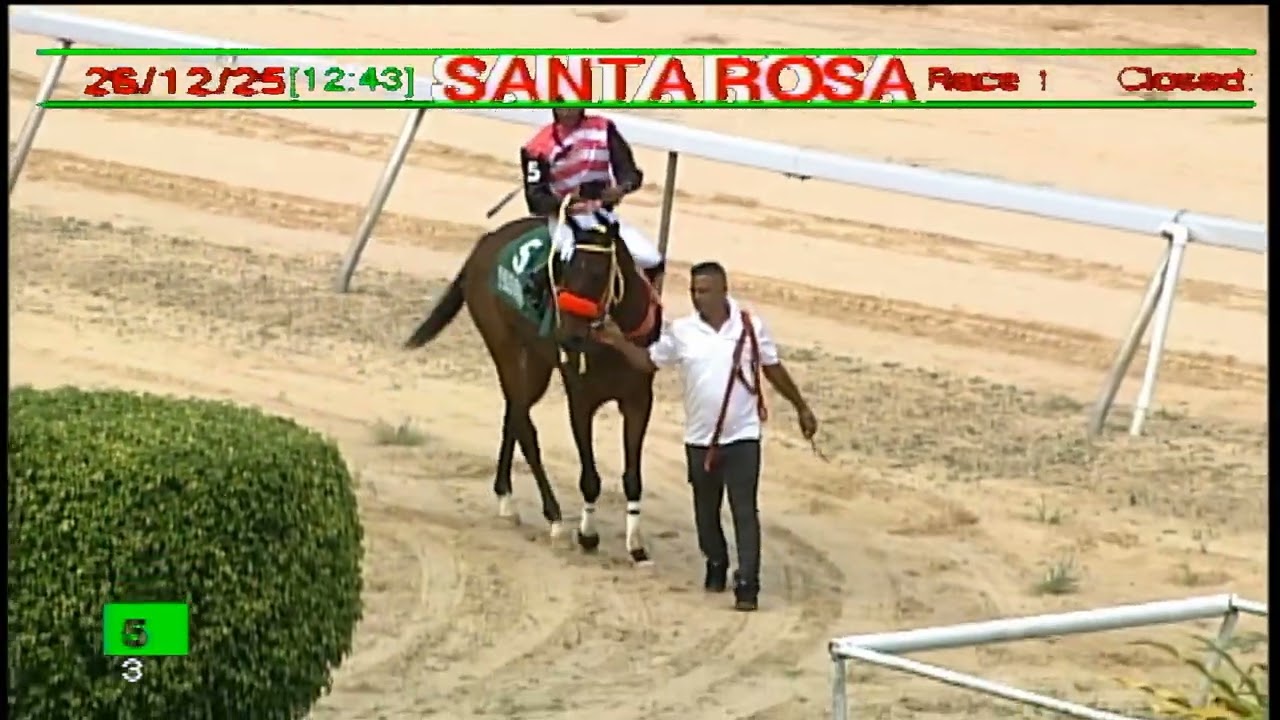 Arima Race Club - Day 12 December 26th 2025 Race -1