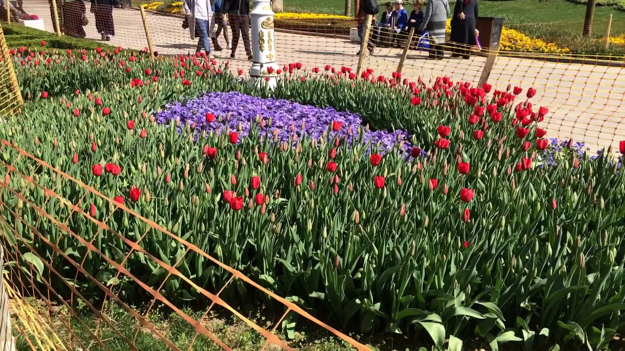 Gülhane parkı maceramız