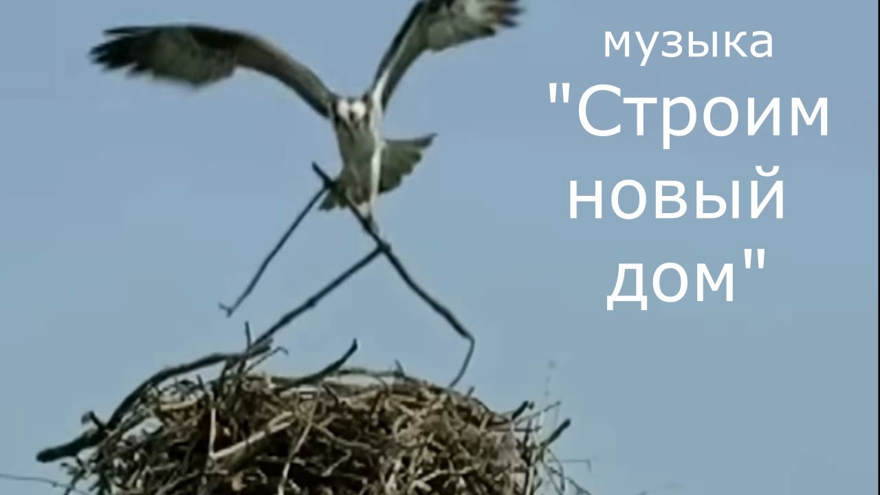 Ю.Р. Вальс 