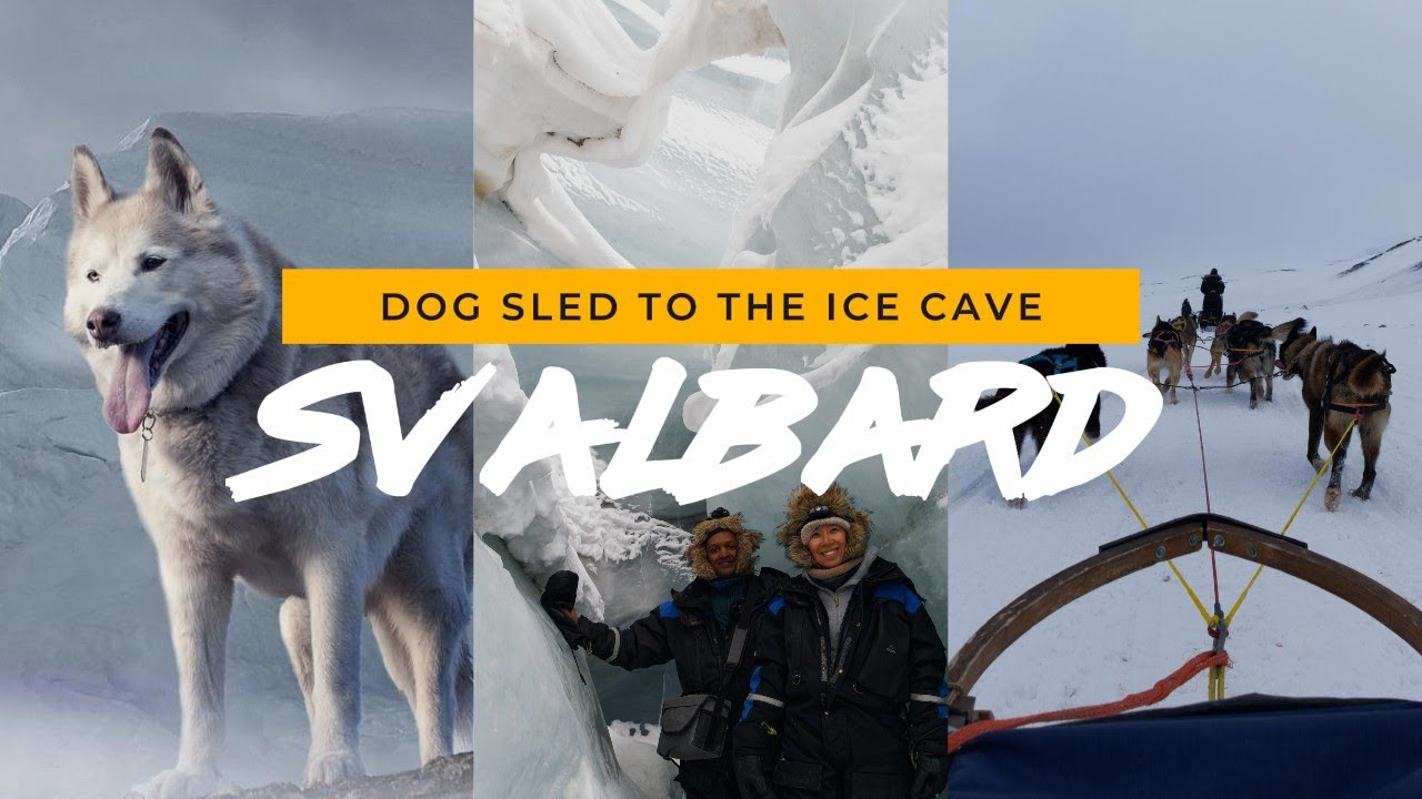 DOG SLED to the ICE CAVE | SVALBARD Norway