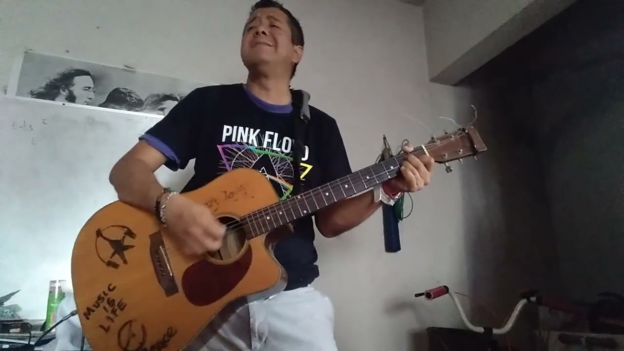 Cover P.Floyd - Wish you were Here from Live 8 versión ✨🎵🎶🎼🎧🎤🎸🎇😎