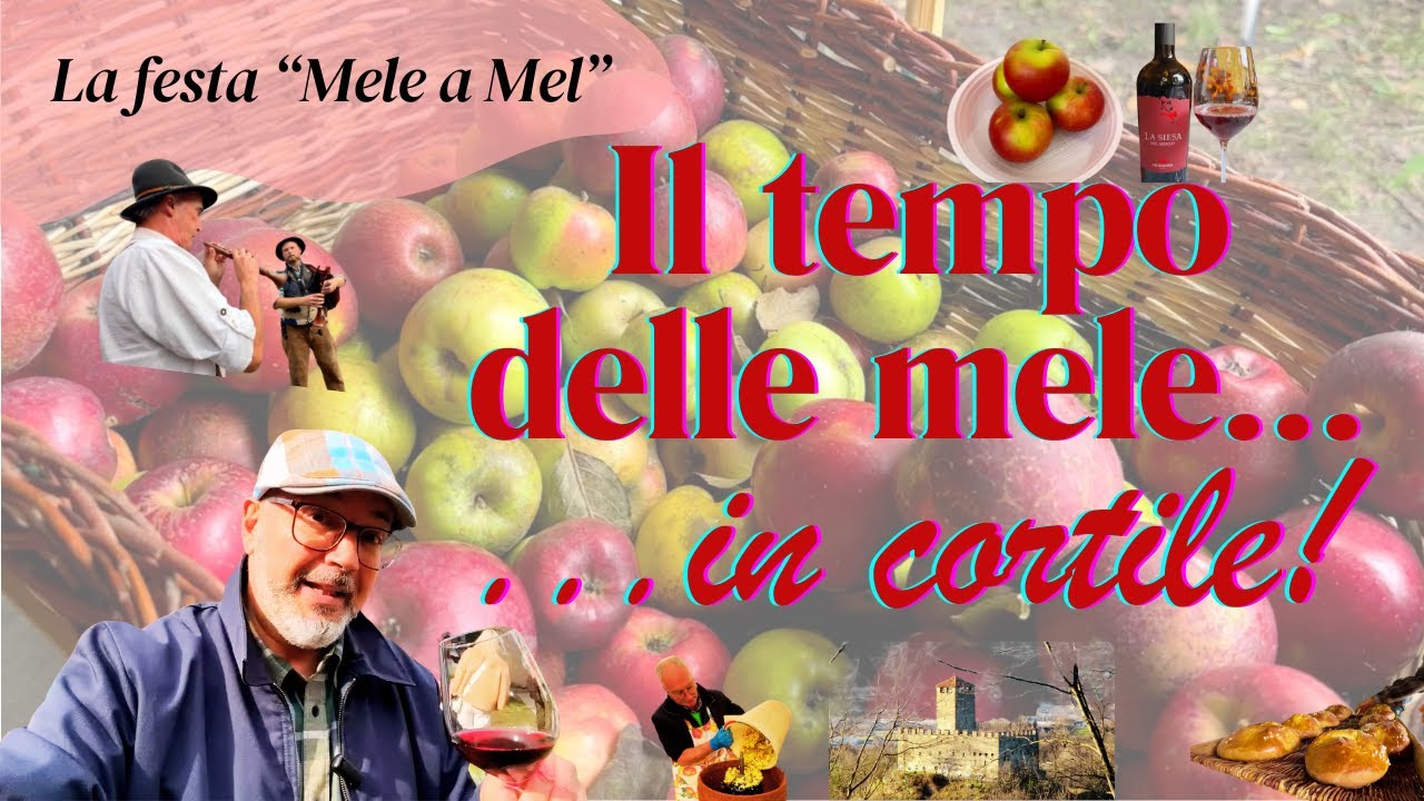 Il Tempo delle Mele... in Cortile!