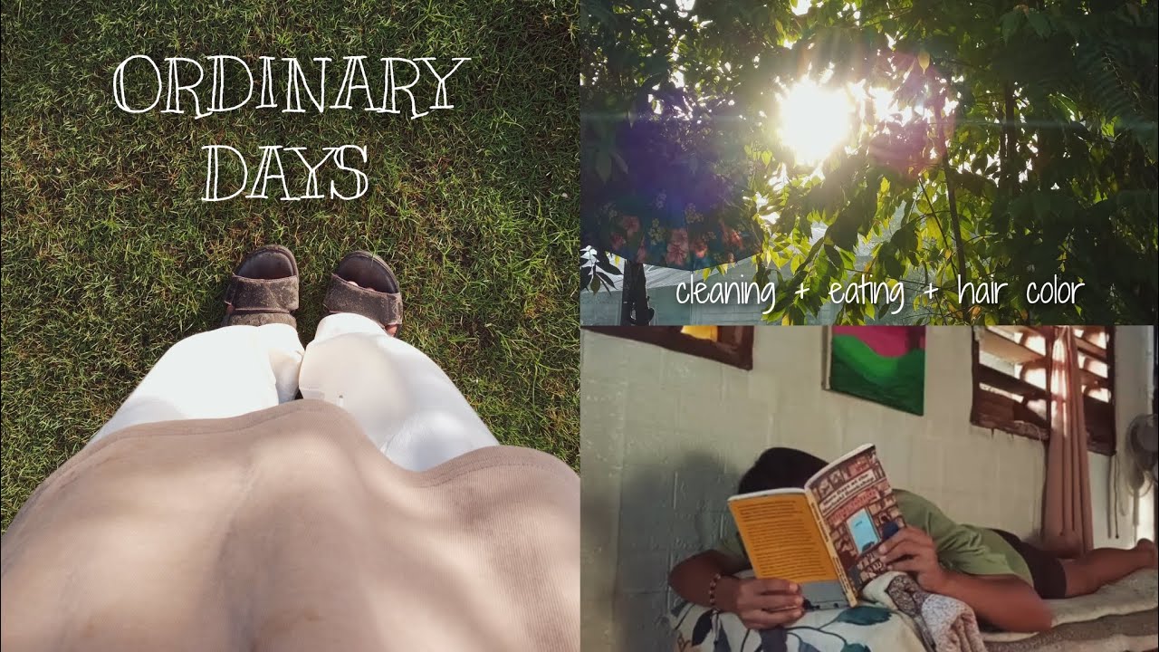 ordinary days: cleaning, eating, reading, and hair color