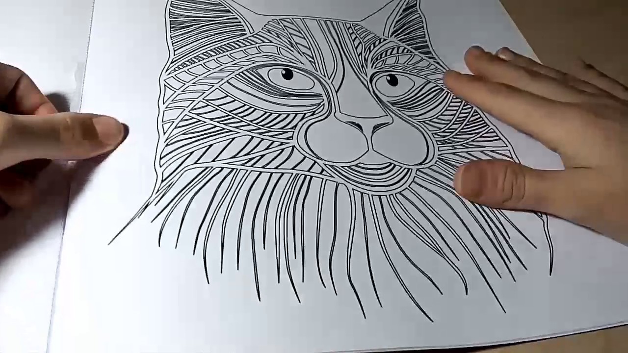 Sayfa çevirme sesleri / sakız çiğneme / fısıltı sohbet / Türkçe ASMR
