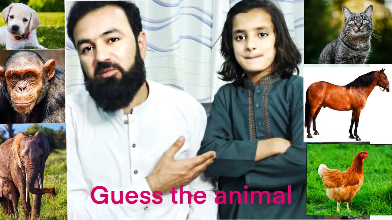 Funny challenge 😁Guess Animals || Naeem aw Rameez VloG