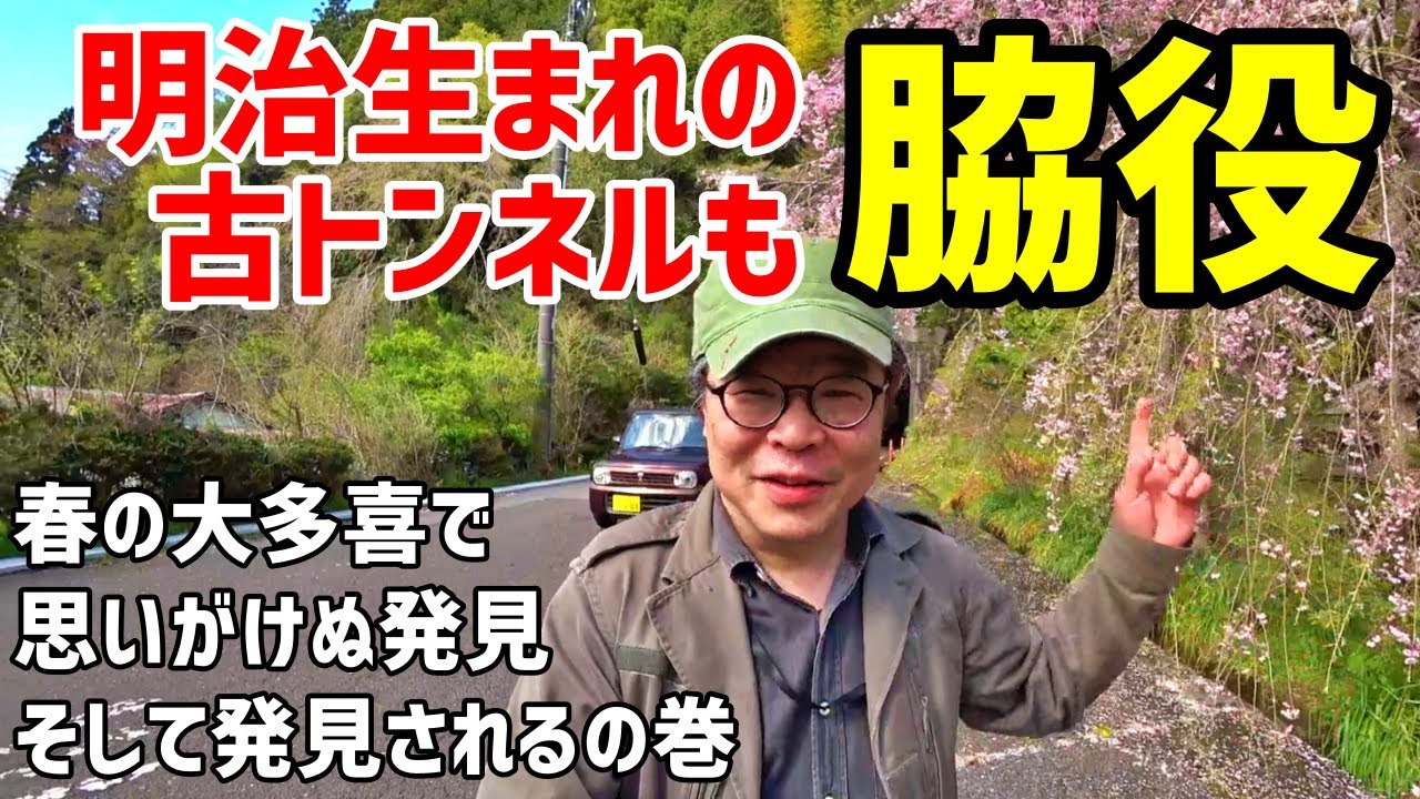 【道路トンネル】おもわず引き返した景色、美しい桜に彩られた古トンネル～湯倉トンネル(大多喜町)