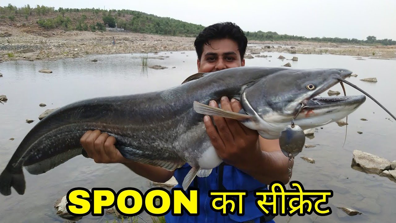 Catching Giant Catfish With Fishing Spoon | Kalisindh River | Angler Azam
