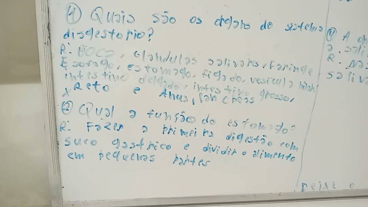 Perguntas sobre o sistema digestorio