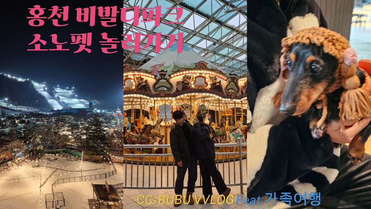 홍천 비발디파크 소노펫 룸투어|가족여행 브이로그|with애견동반|정신없음주의