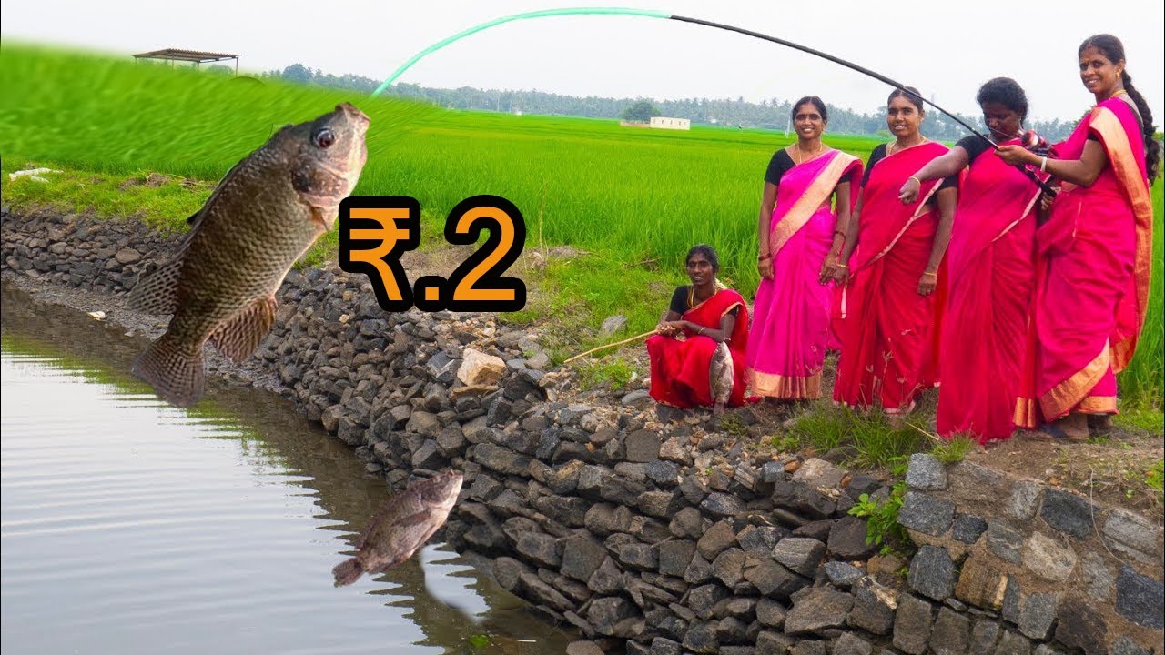 Big Fish Catching Using Machine Fishing Rod | Fishing Rod | Village Fishing Life