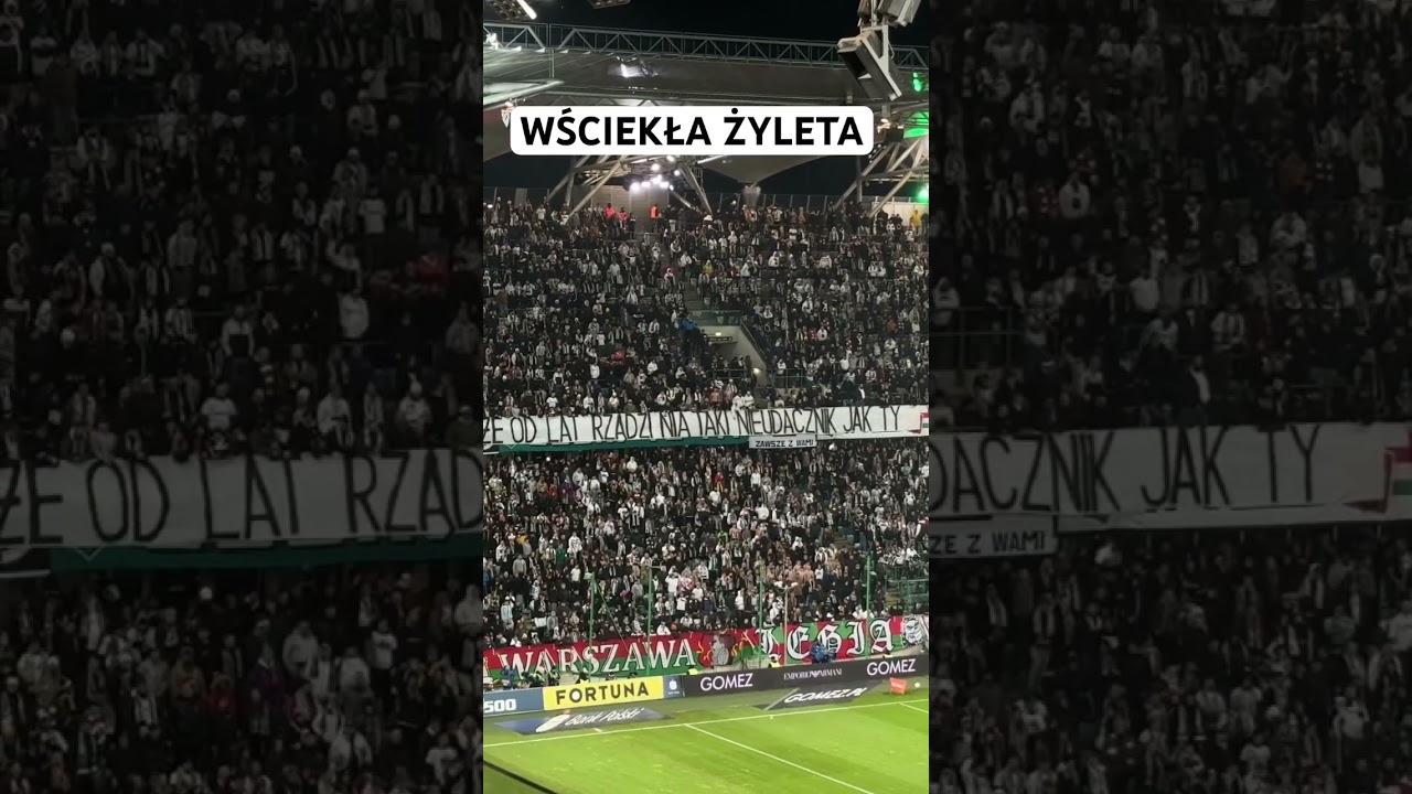 ZDENERWOWANA ŻYLETA 