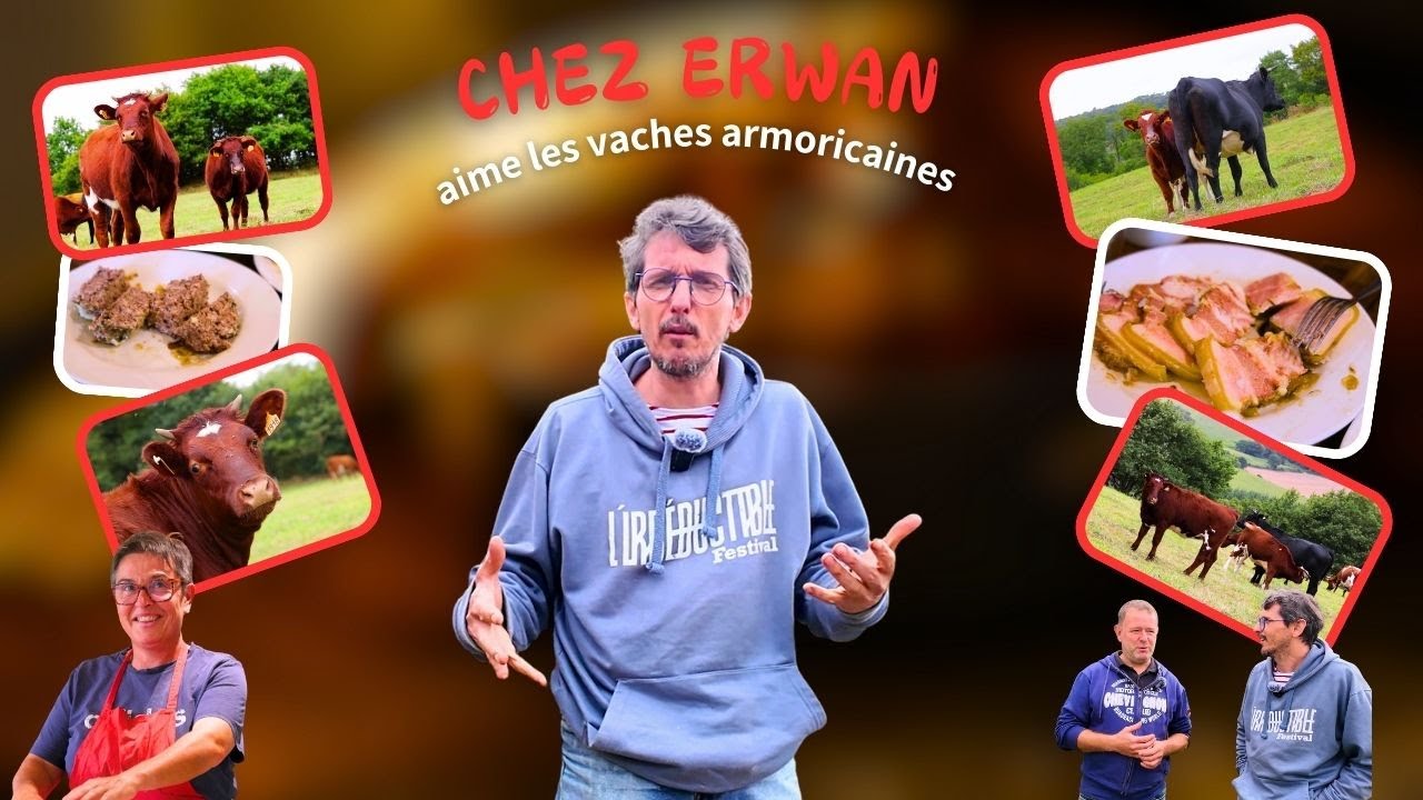 CHEZ ERWAN AIME LES ARMORICAINES 🐮