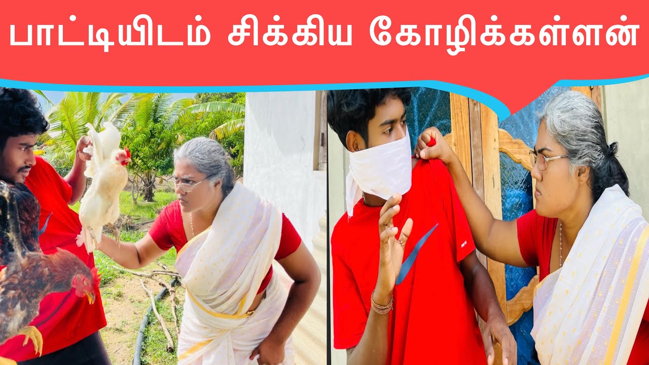 கோழிக்கள்ளனும் பாட்டியும் ஒரே சோக்குத்தான்🤣#chicken #thief #kilinochchi #kannamma