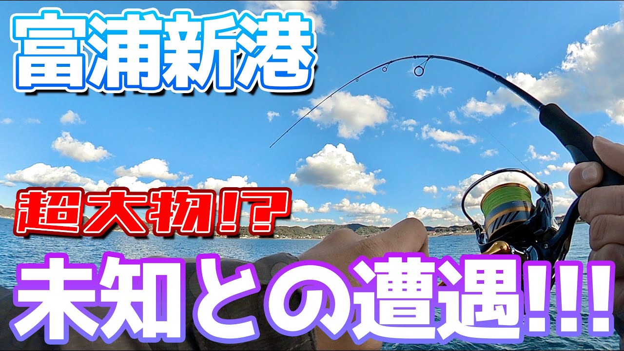 【富浦新港】ジグサビキに超大物!? 未知との遭遇で一時パニック!!