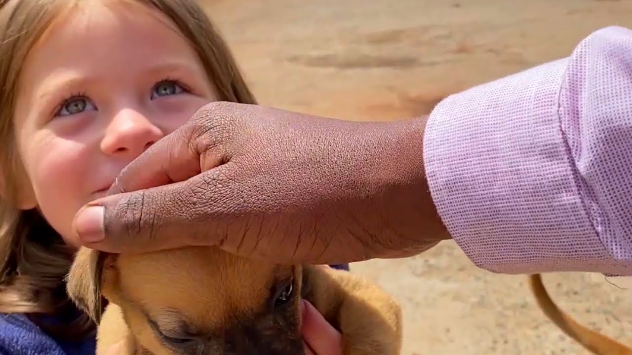 This family allowed a stranger to use their toilet and he helped them