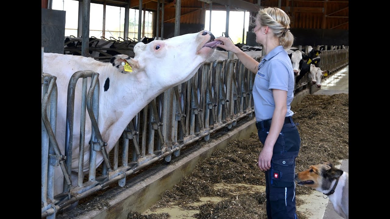 Digitale Hofführung bei der Leyschulte-Steer GbR in Westerkappeln-Seeste