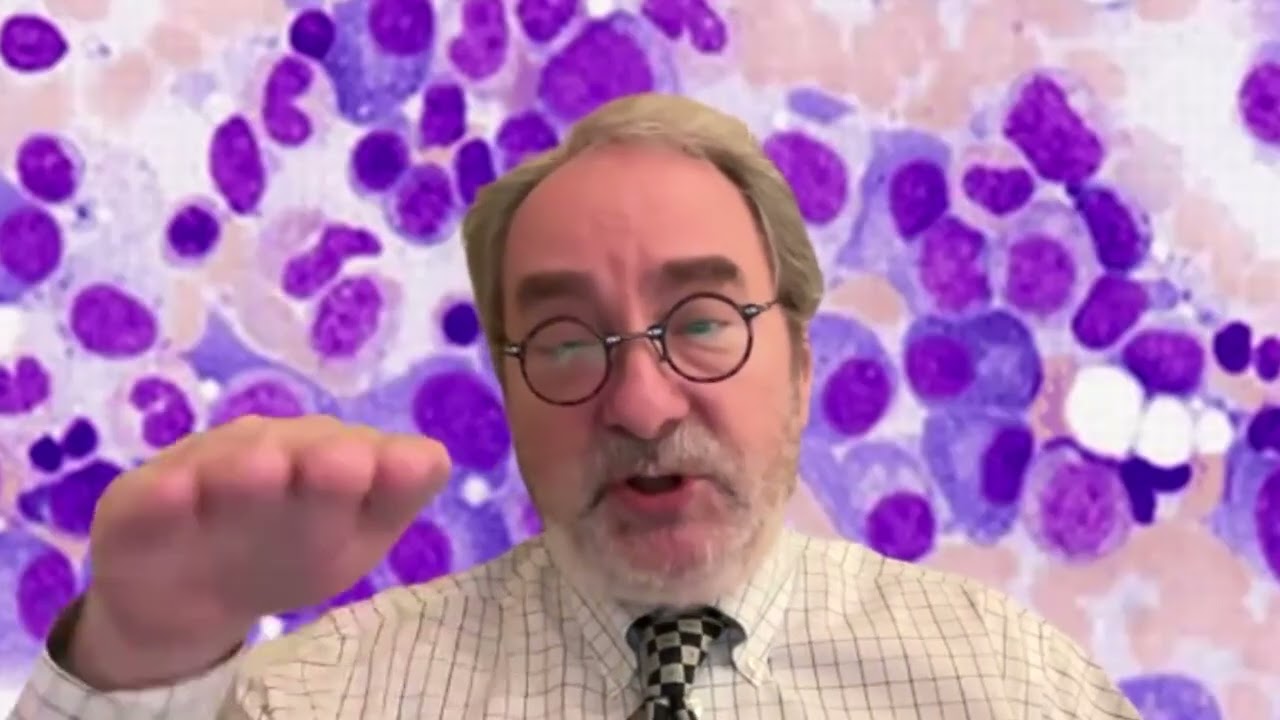 Early trial of linvoseltamab shows promise for newly diagnosed multiple myeloma patients | ASH 2025