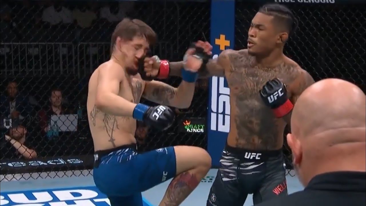 Malcolm Wellmaker Highlights 2025 ▶ One Punch KO Power