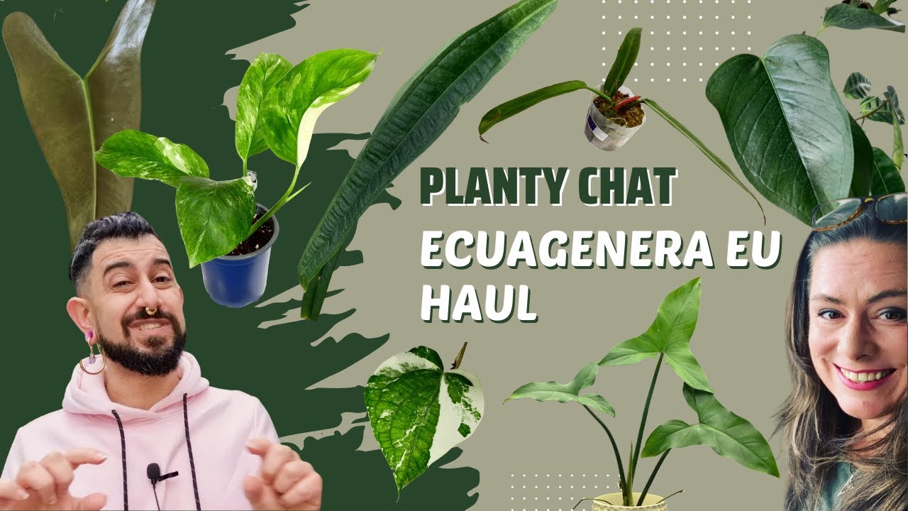 Ecuagenera EU Plant Haul | Subscriber Collab | Plant Chat | Importing Tropical Plants