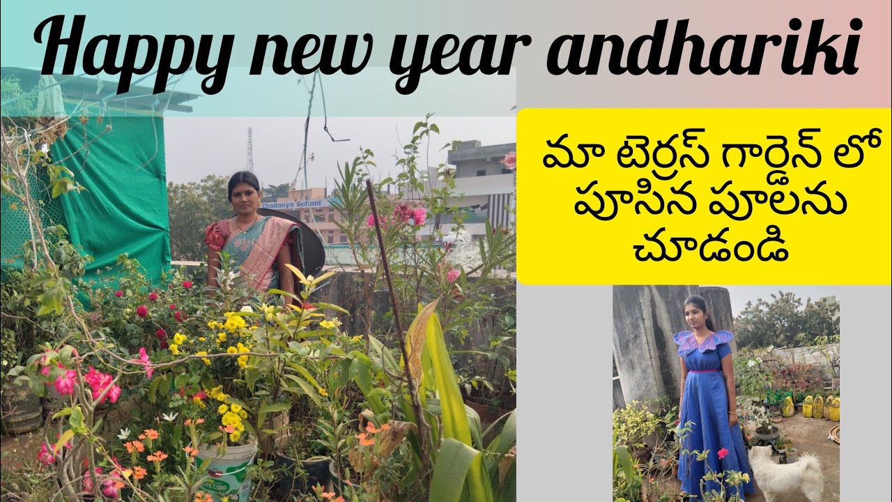 మా టెర్రస్ గార్డెన్ లో పూసిన పూలను చూడండి | Happy New year to all🎉🎉
