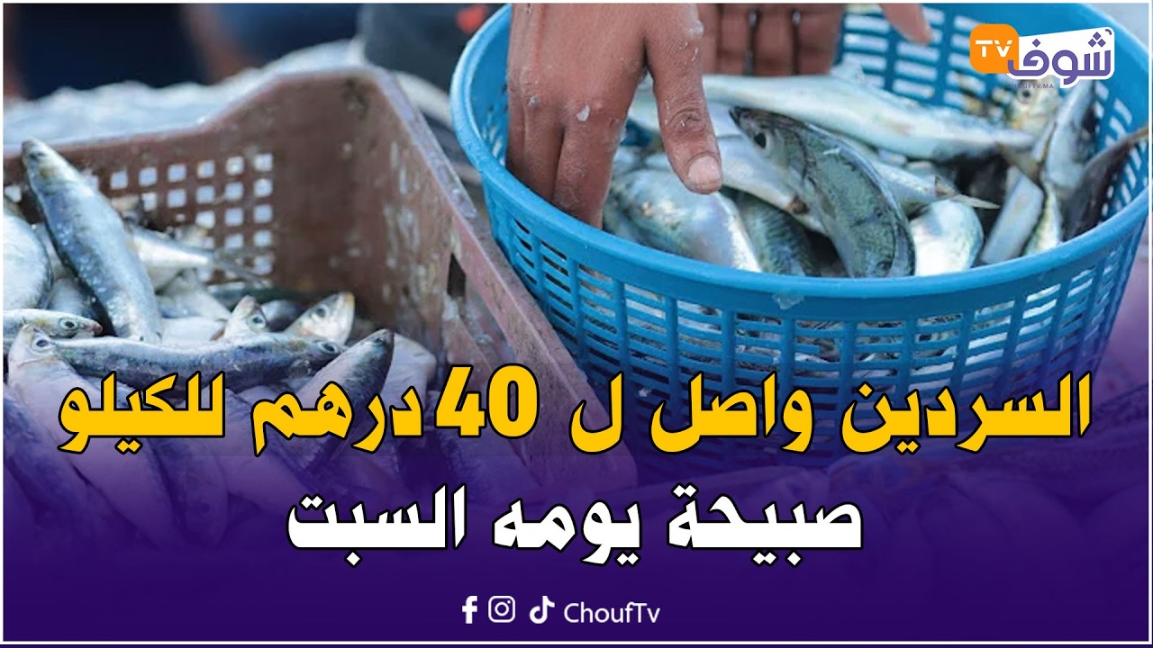 الجديدة: هادشي بزاف ! السردين واصل ل 40 درهم للكيلو صبيحة يومه السبت والصندوق 700 درهم فسوق الجملة