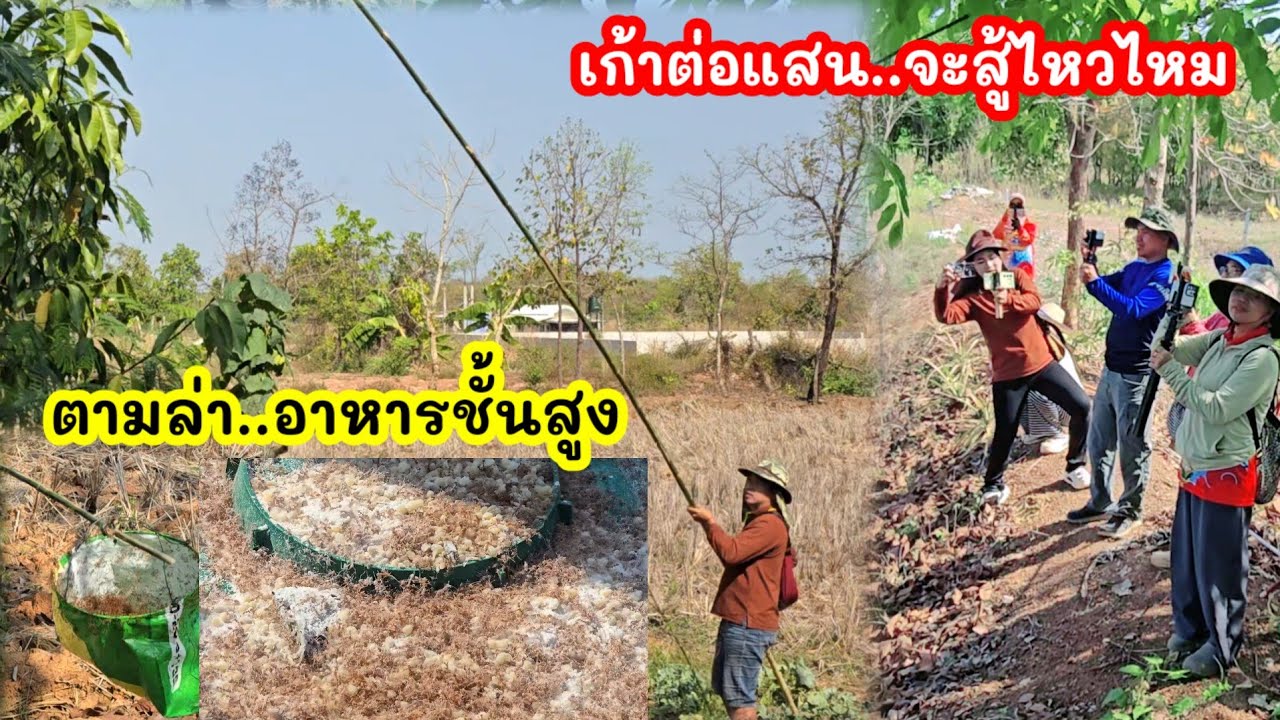 9ต่อแสน..จะสู้ไหวไหม ครั้งแรกที่รู้..อยู่ข้างบ้านเสือพาไปมีอาหารชั้นสูง