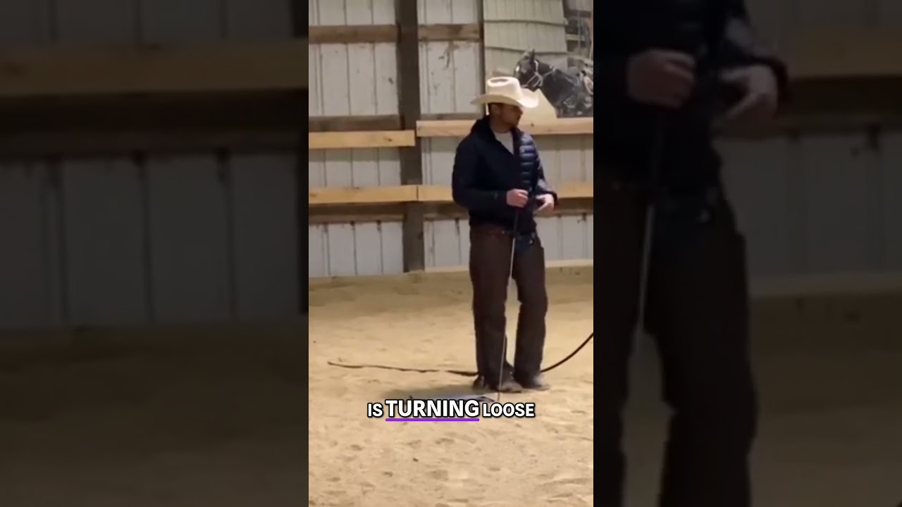 Understanding the Nervous System & How Horses Relax