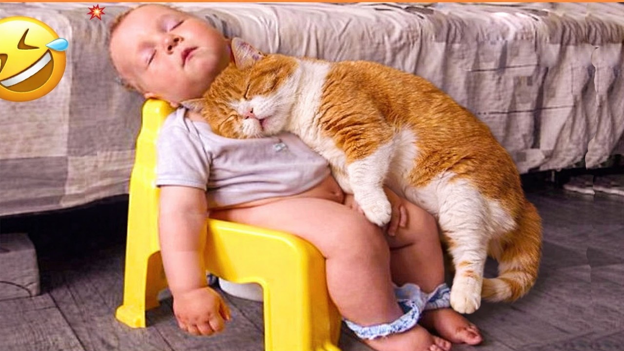 Cats Truly Love Babies as if They Were Their own, Here's TheProof