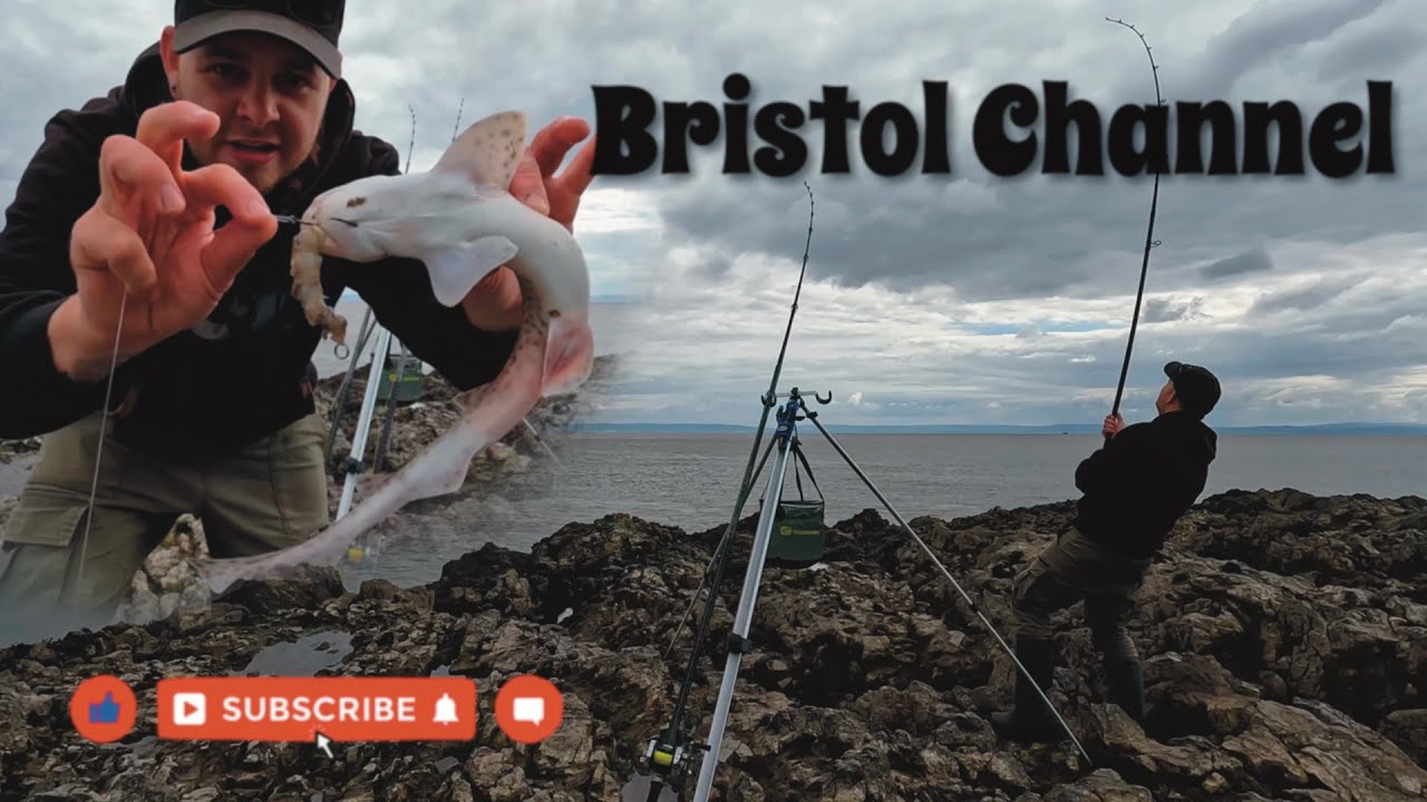 Bristol Channel, Rods over!, Rock fishing