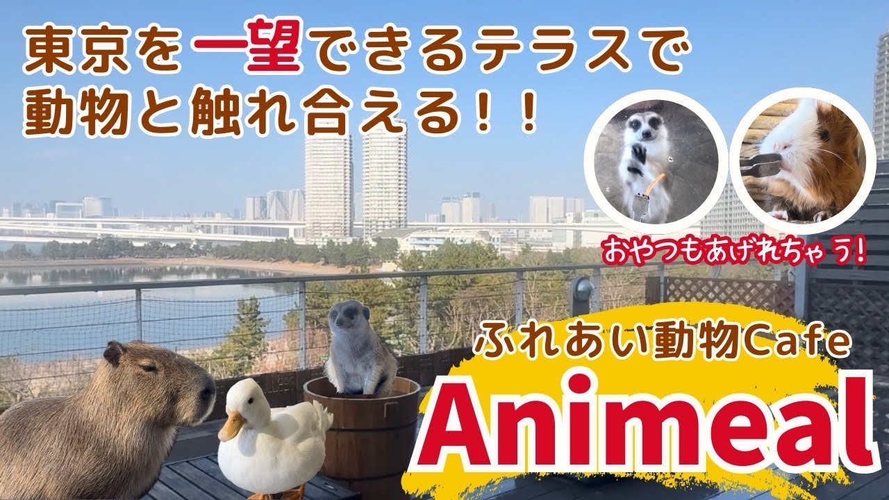 【アニミル②】No.1！日本最大級の動物触れ合い施設へ行ってみた