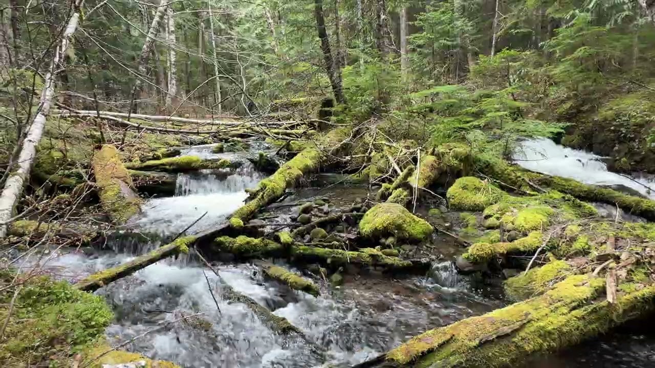 Little Zigzag River, Oregon