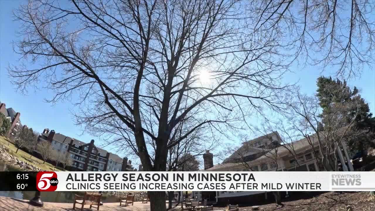 Allergy season arrives early in Minnesota