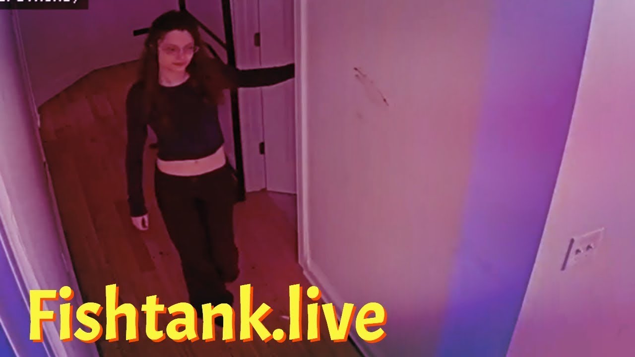 Fishtank.live Drunk Letty tries to get The Hog to punch her. Shes crazy (Day 27).