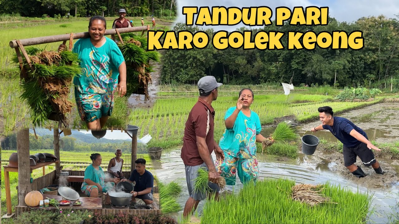 MENCARI BAHAN MAKANAN DI SAWAH