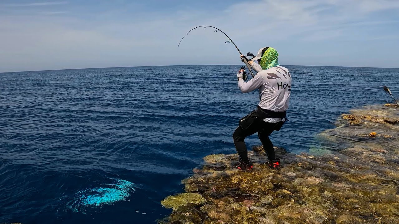 تقنية الصيد بالجيج والبوبر متعة وتحدي لعشاق البحر 😍 Jigging & popping for the big catch