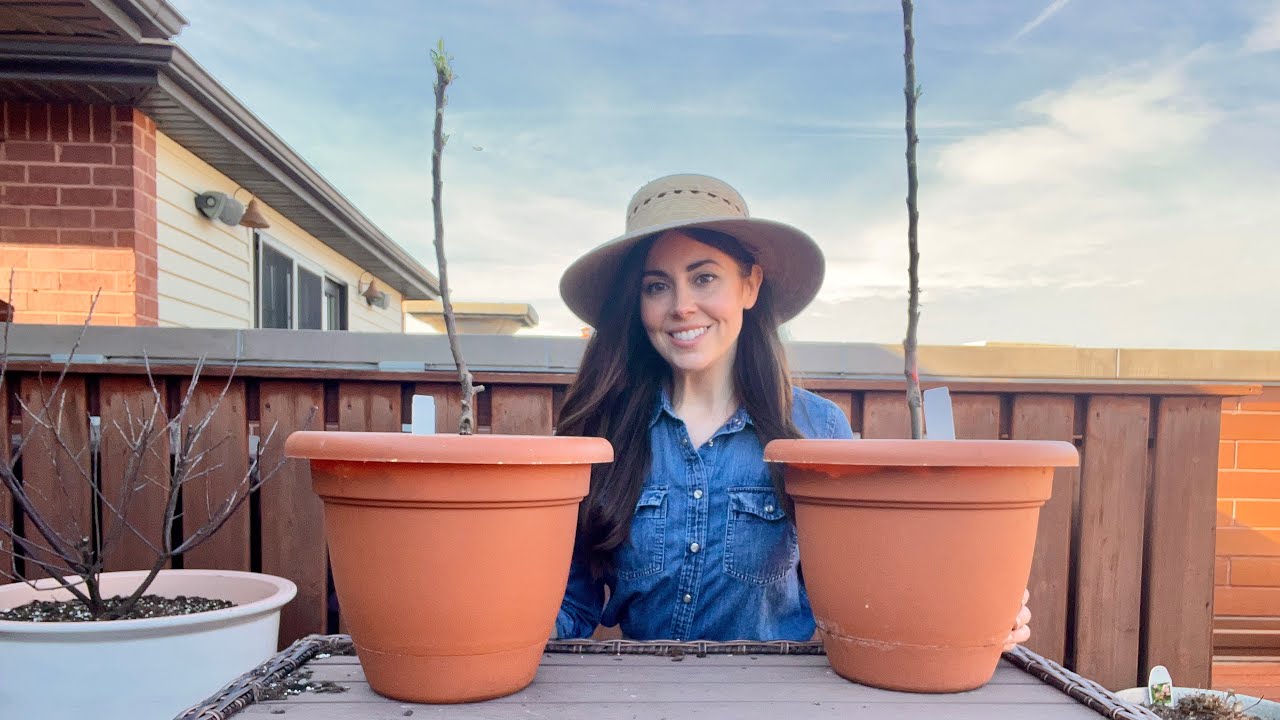 Planting Apple Trees In Pots | The Last Addition To My My Container Orchard