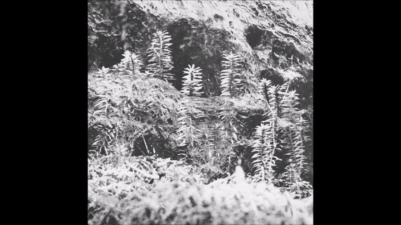 Acronym w Korridor - Sscending