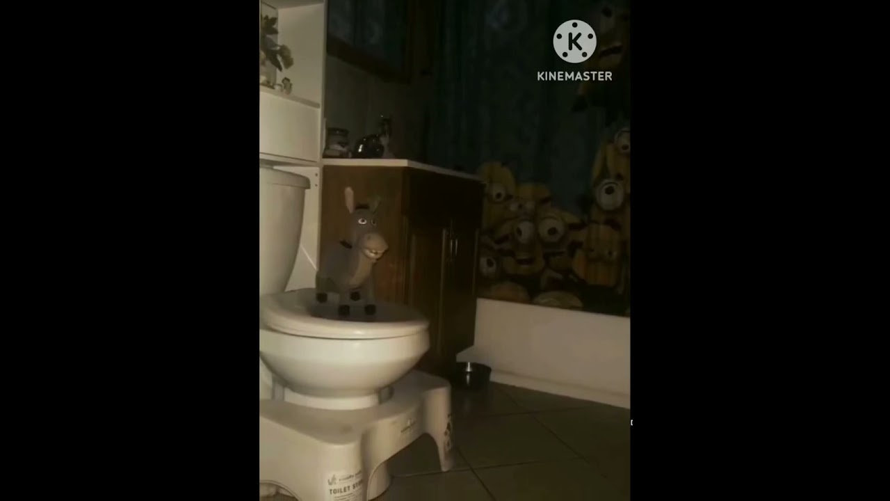 Flying donkey spin meme 🤣