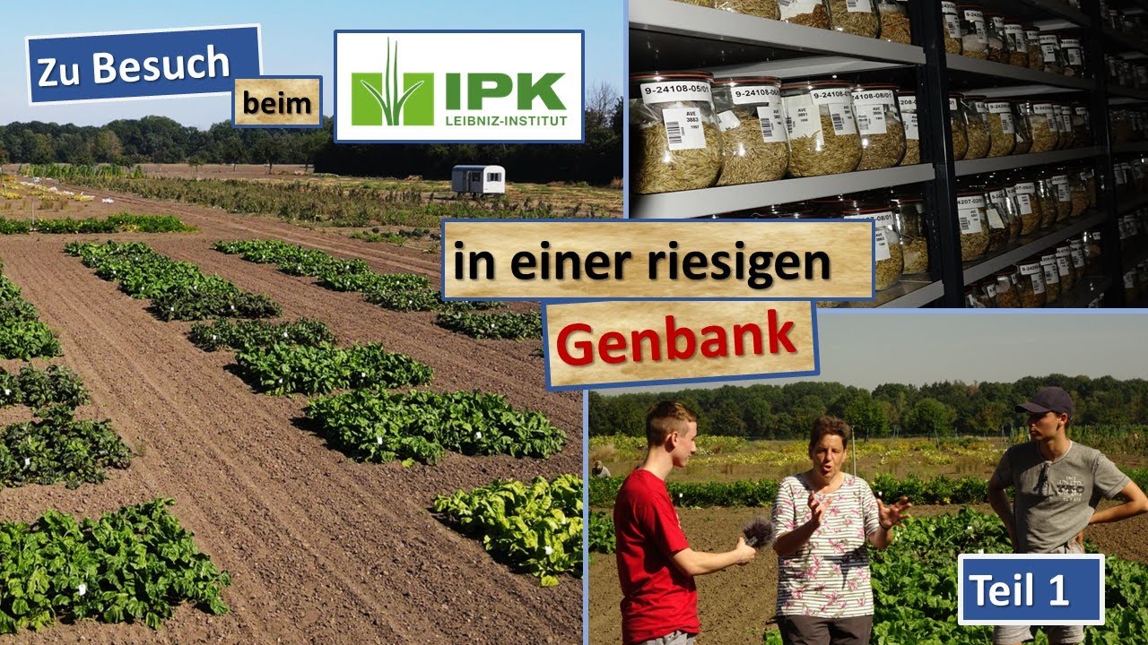 Zu Besuch in der Genbank des IPKs in Gatersleben