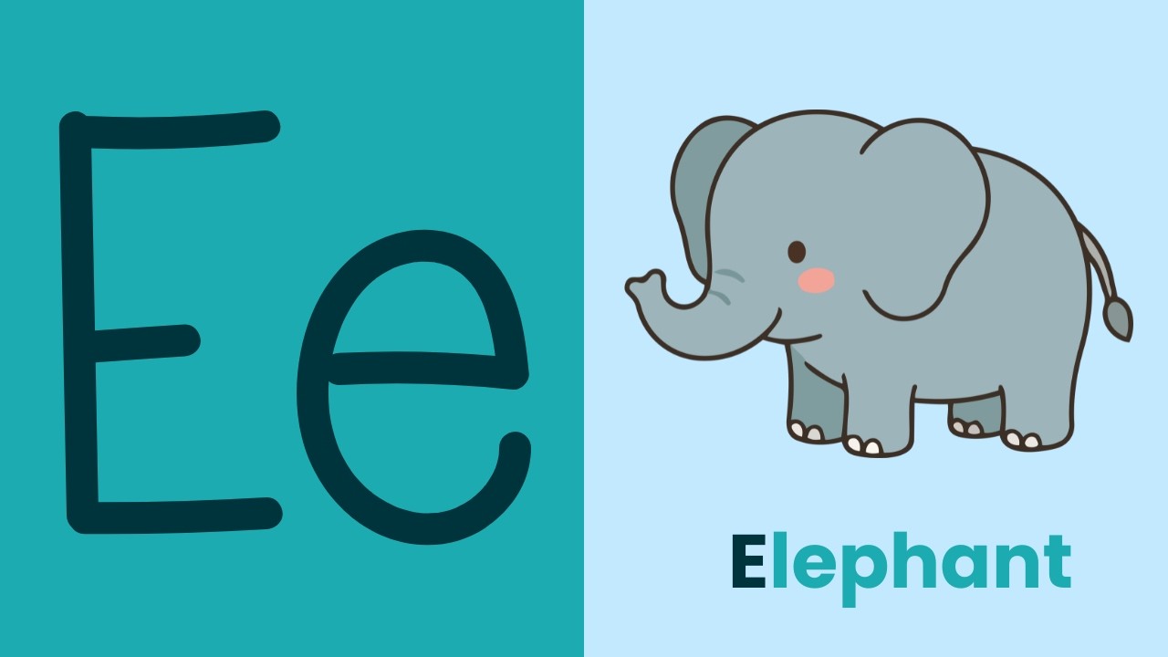 Learn Letter E | Letter E Phonics Sound & Song for Kids | ABC Learning for Preschool & Kindergarten