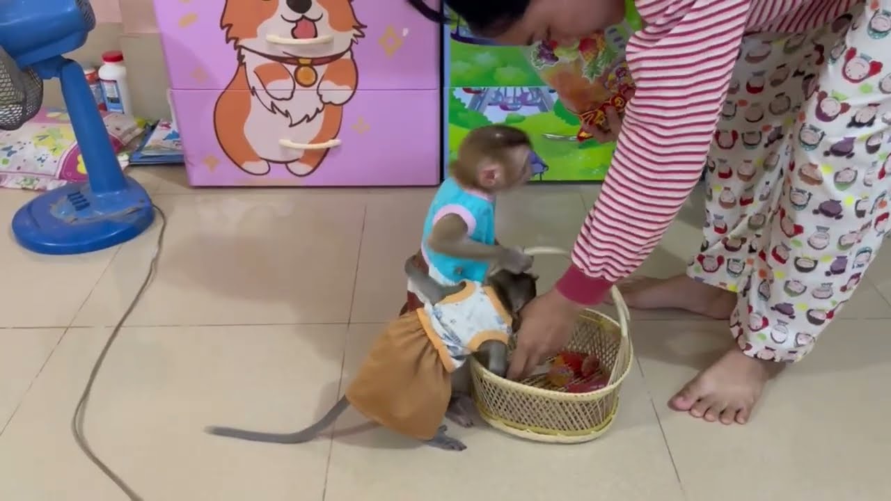 OH no..!! Koy not help mom working but tri to stealll fruit 